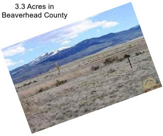 3.3 Acres in Beaverhead County