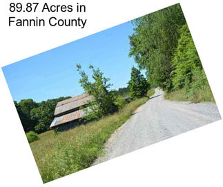 89.87 Acres in Fannin County