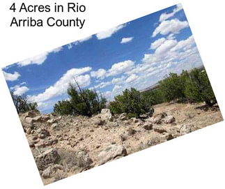 4 Acres in Rio Arriba County