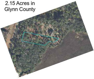 2.15 Acres in Glynn County