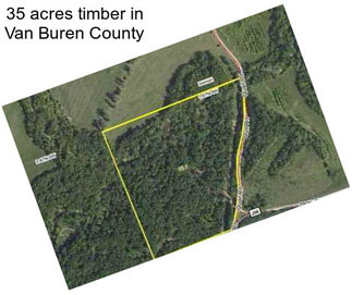 35 acres timber in Van Buren County