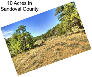 10 Acres in Sandoval County