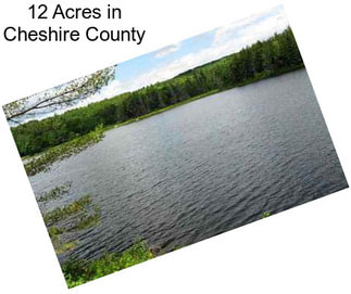 12 Acres in Cheshire County