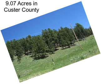 9.07 Acres in Custer County