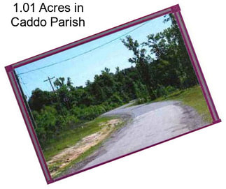 1.01 Acres in Caddo Parish
