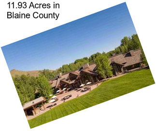 11.93 Acres in Blaine County