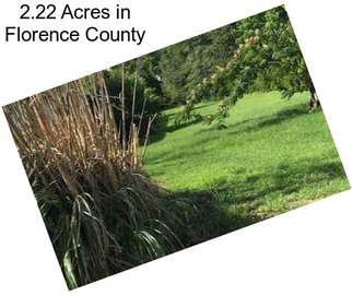 2.22 Acres in Florence County