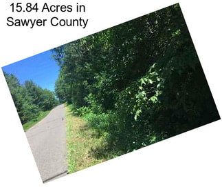 15.84 Acres in Sawyer County