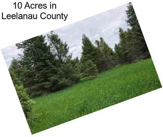 10 Acres in Leelanau County