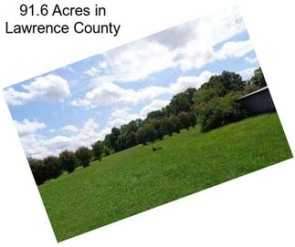91.6 Acres in Lawrence County