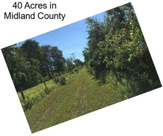 40 Acres in Midland County