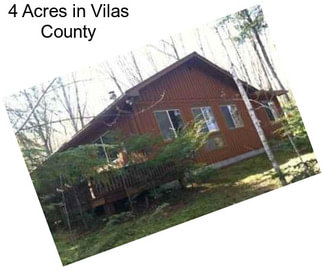 4 Acres in Vilas County