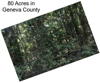 80 Acres in Geneva County