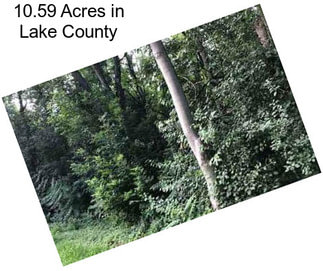 10.59 Acres in Lake County