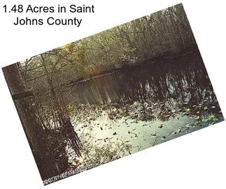 1.48 Acres in Saint Johns County