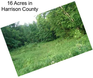 16 Acres in Harrison County
