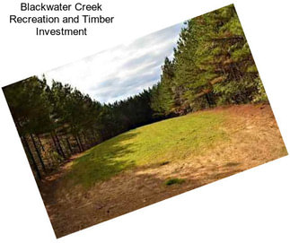 Blackwater Creek Recreation and Timber Investment