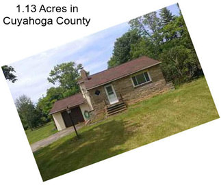 1.13 Acres in Cuyahoga County