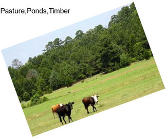 Pasture,Ponds,Timber