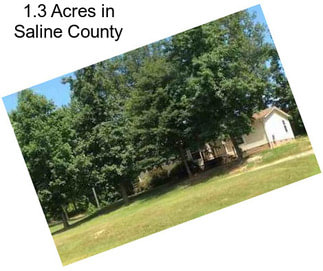 1.3 Acres in Saline County