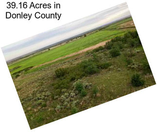 39.16 Acres in Donley County