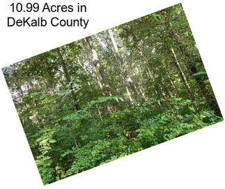 10.99 Acres in DeKalb County