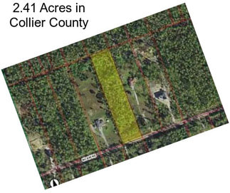 2.41 Acres in Collier County