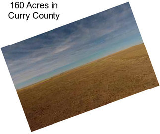 160 Acres in Curry County