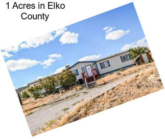 1 Acres in Elko County