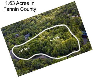 1.63 Acres in Fannin County