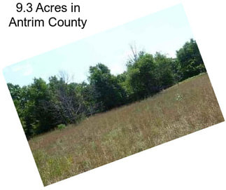 9.3 Acres in Antrim County