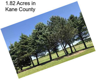 1.82 Acres in Kane County