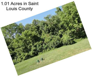 1.01 Acres in Saint Louis County