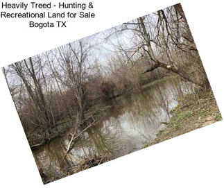 Heavily Treed - Hunting & Recreational Land for Sale Bogota TX