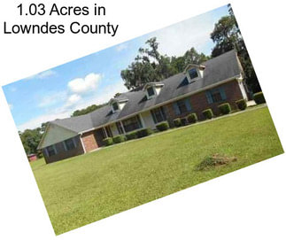 1.03 Acres in Lowndes County
