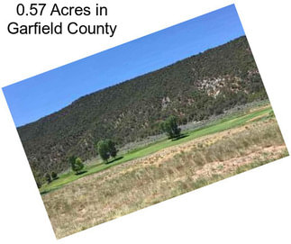 0.57 Acres in Garfield County