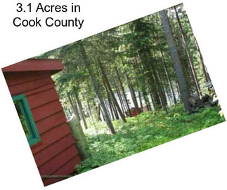 3.1 Acres in Cook County