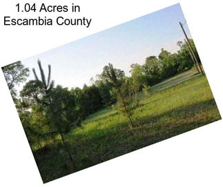 1.04 Acres in Escambia County