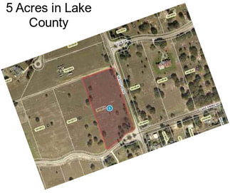 5 Acres in Lake County