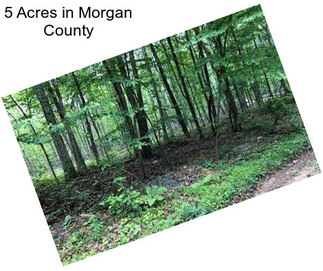 5 Acres in Morgan County