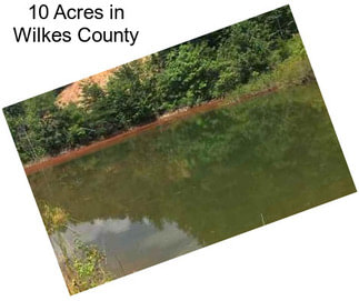 10 Acres in Wilkes County