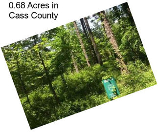 0.68 Acres in Cass County