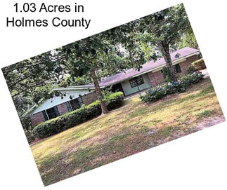 1.03 Acres in Holmes County