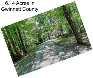 6.14 Acres in Gwinnett County