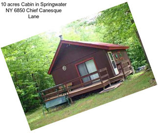 10 acres Cabin in Springwater NY 6850 Chief Canesque Lane