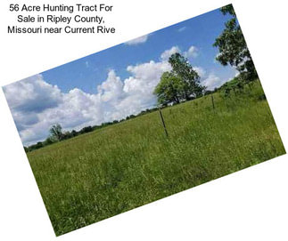 56 Acre Hunting Tract For Sale in Ripley County, Missouri near Current Rive