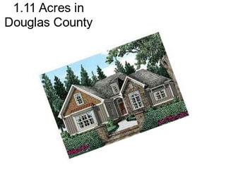 1.11 Acres in Douglas County