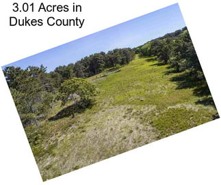 3.01 Acres in Dukes County