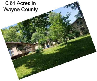 0.61 Acres in Wayne County