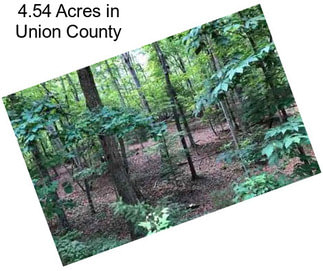 4.54 Acres in Union County